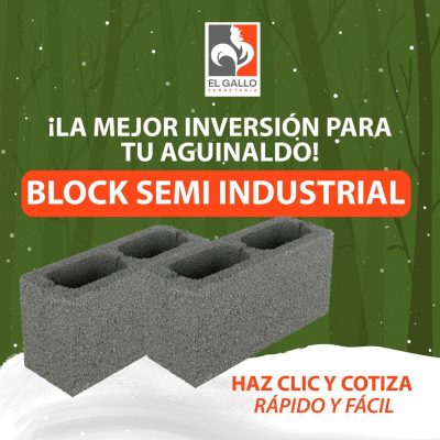 WhatsApp Image 2025-12-16 at 12.29.51 PM (1)