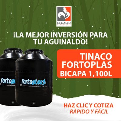 WhatsApp Image 2025-12-16 at 12.31.05 PM (3)