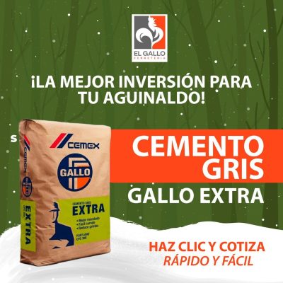 WhatsApp Image 2025-12-16 at 12.31.05 PM