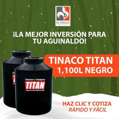 WhatsApp Image 2025-12-16 at 12.31.06 PM (2)