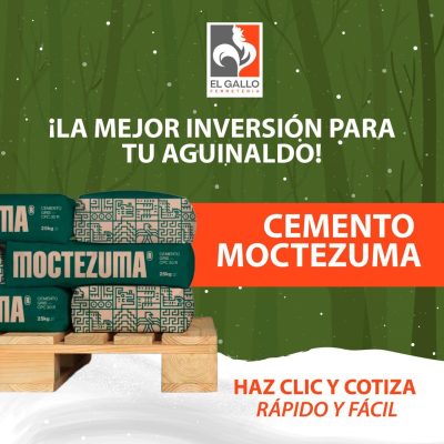 WhatsApp Image 2025-12-16 at 12.31.06 PM (3)