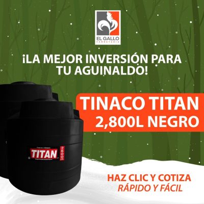 WhatsApp Image 2025-12-16 at 12.31.06 PM (6)