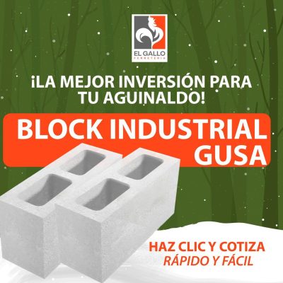 WhatsApp Image 2025-12-16 at 12.31.06 PM (9)