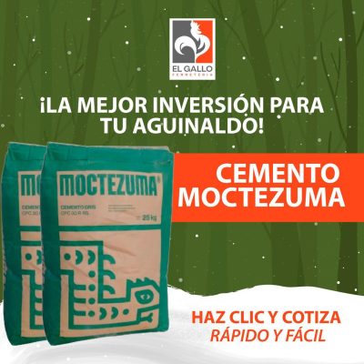 WhatsApp Image 2025-12-16 at 12.31.06 PM